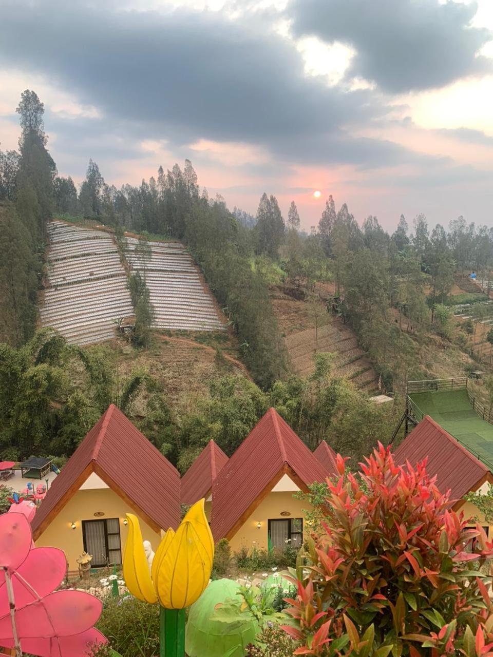 Hotel Nature Bromo And Resort Pasuruan Bagian luar foto