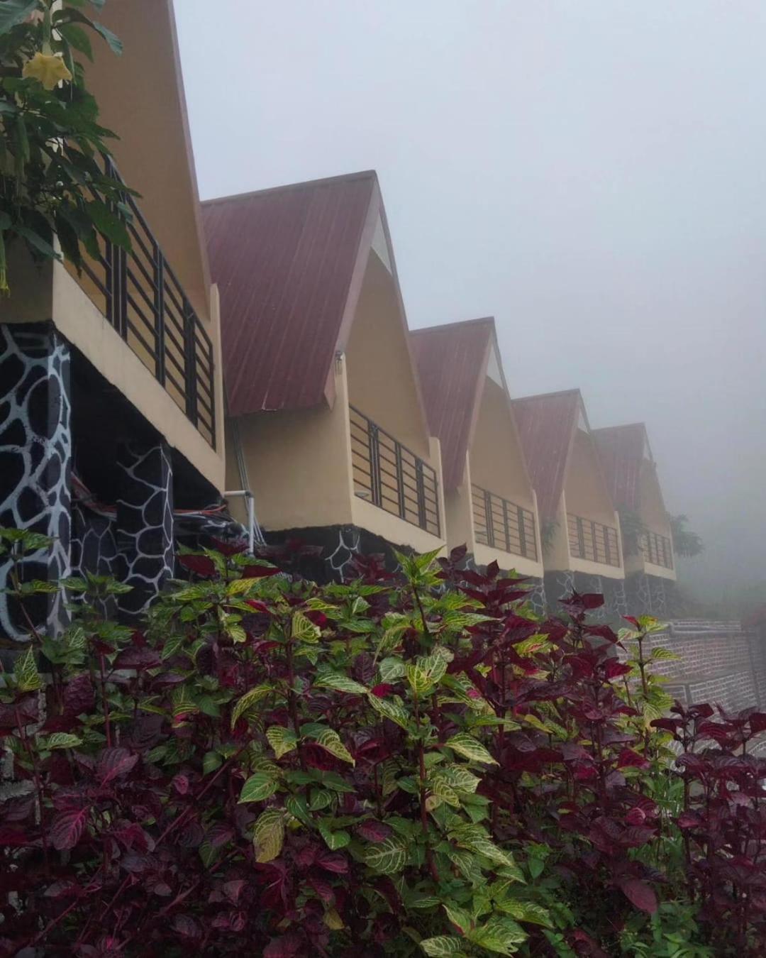 Hotel Nature Bromo And Resort Pasuruan Bagian luar foto
